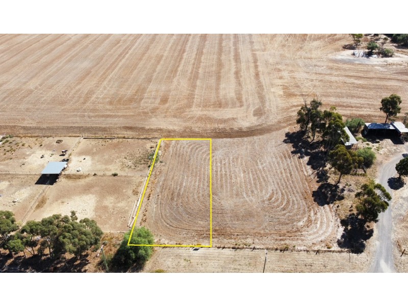 21 Bart Street, Nullawil VIC 3529