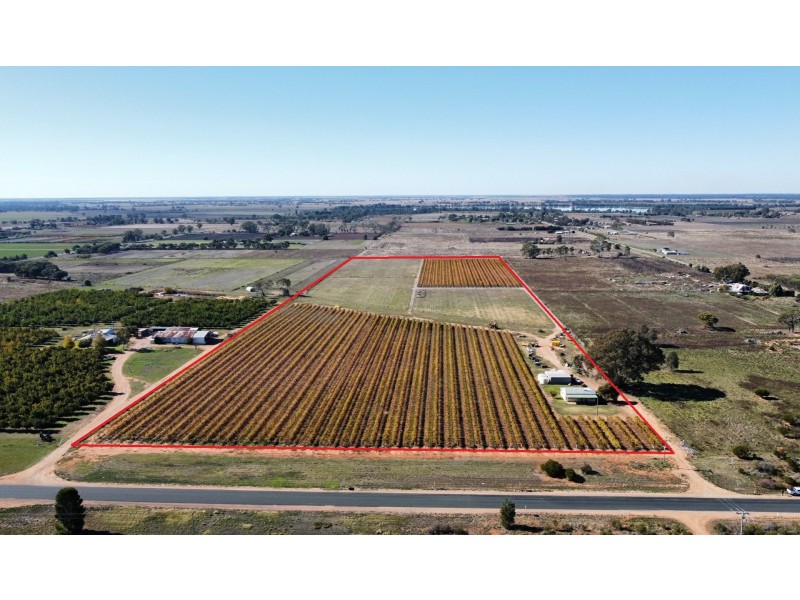 224 Koraleigh Road, Koraleigh NSW 2735