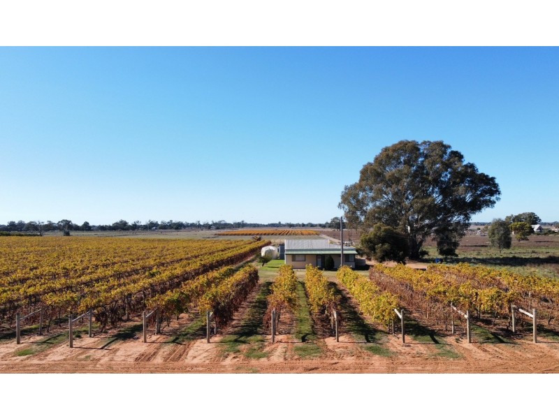 224 Koraleigh Road, Koraleigh NSW 2735