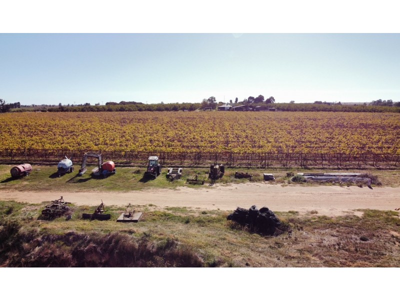 224 Koraleigh Road, Koraleigh NSW 2735