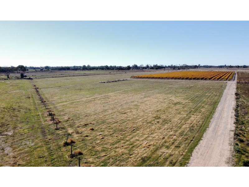 224 Koraleigh Road, Koraleigh NSW 2735