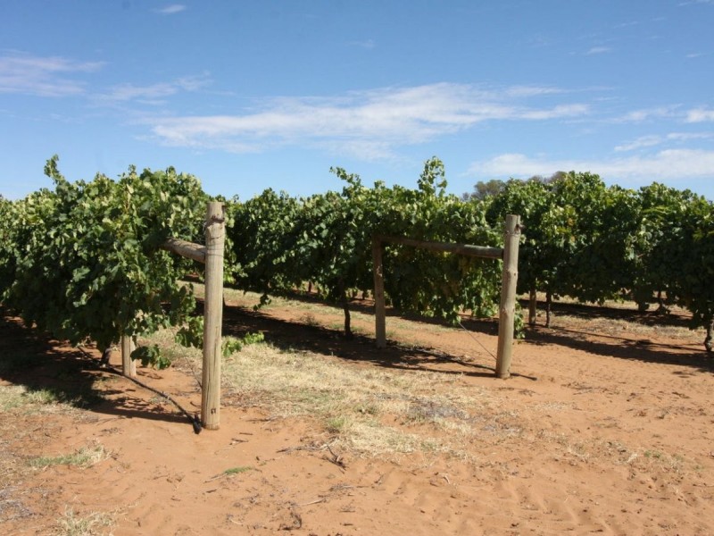 224 Koraleigh Road, Koraleigh NSW 2735