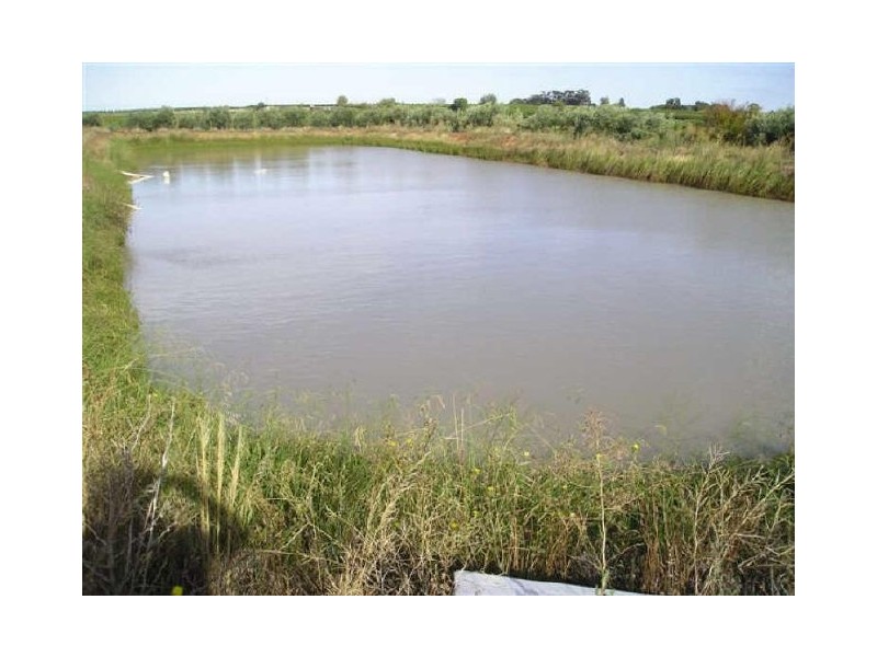 432 Cumnock Road, Tresco West VIC 3584