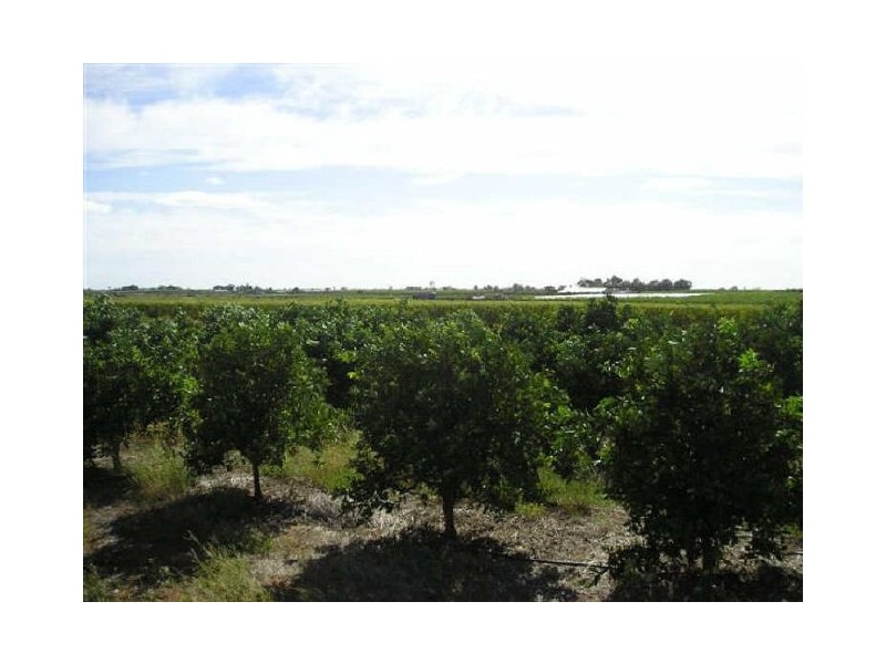 432 Cumnock Road, Tresco West VIC 3584