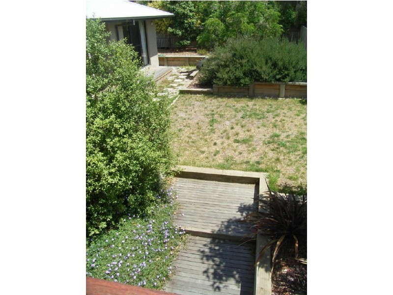 12 Osprey Court, Torquay VIC 3228