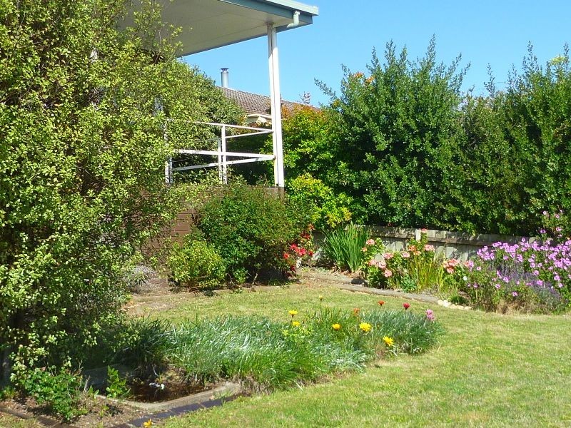 38 Rocklea Drive, Torquay VIC 3228
