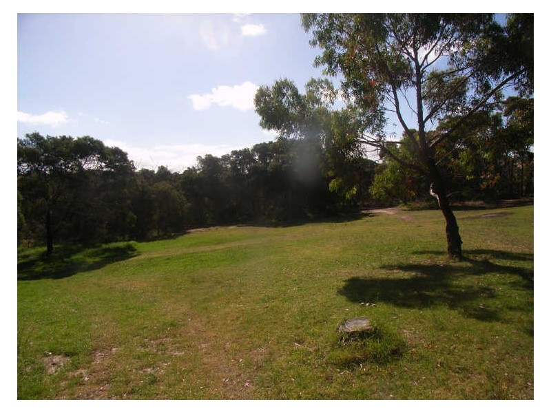 33 Alleyne Avenue, Torquay VIC 3228