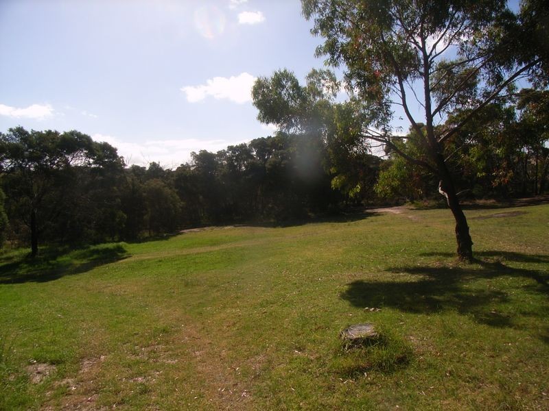 33 Alleyne Avenue, Torquay VIC 3228