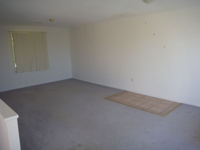 1 Scammell Crescent, Torquay VIC 3228