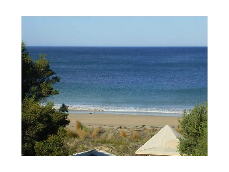 67 Riverside Drive, Torquay VIC 3228