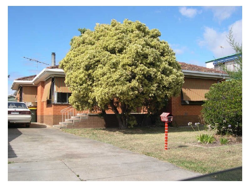 57 Grandview Road, Torquay VIC 3228