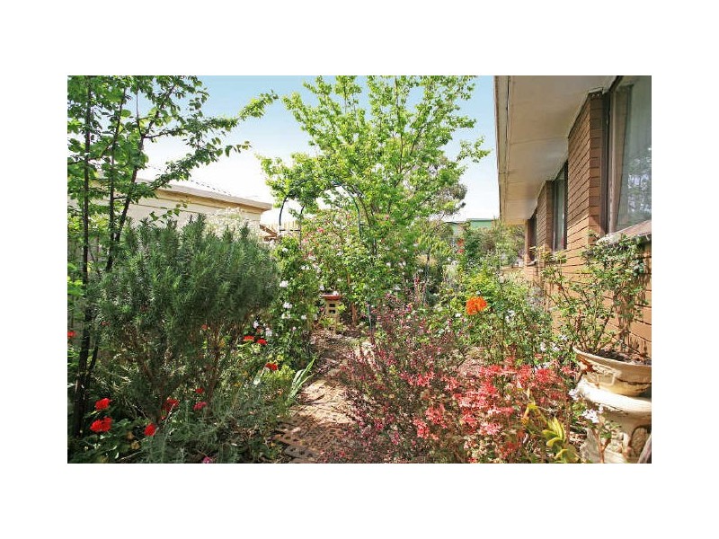 11 Carnarvon Avenue, Jan Juc VIC 3228