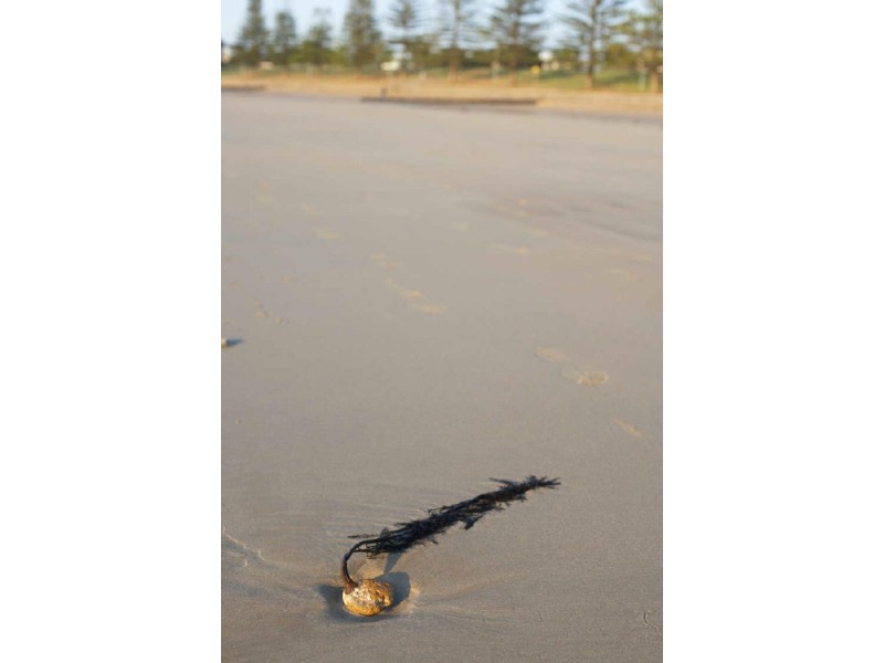 Lot 922 Inshore Drive, Torquay VIC 3228