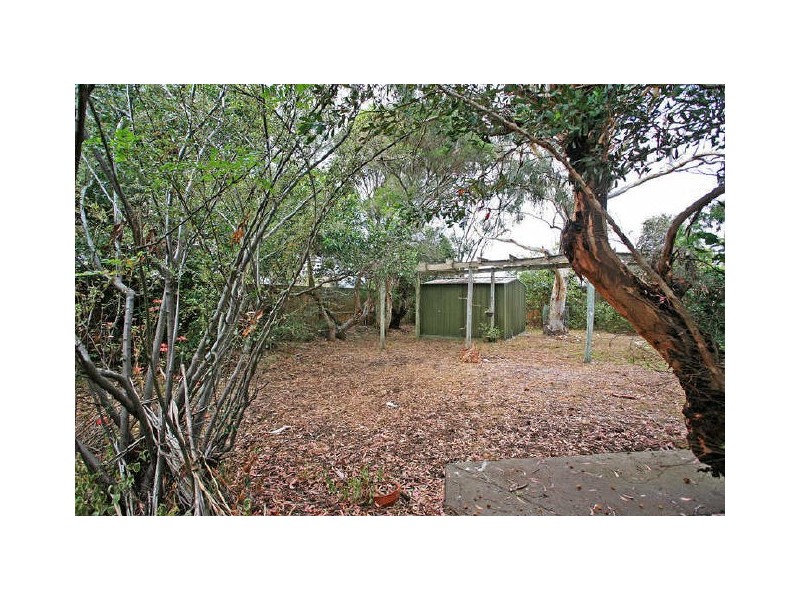 15 Grandview Road, Torquay VIC 3228