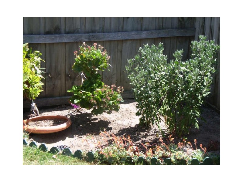 2/12 Meadowvale Drive, Grovedale VIC 3216