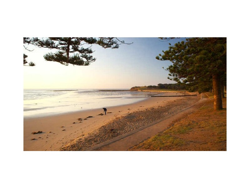 41 Inshore Drive, Torquay VIC 3228