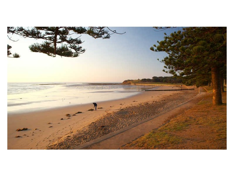 3/4 Anderson Street, Torquay VIC 3228