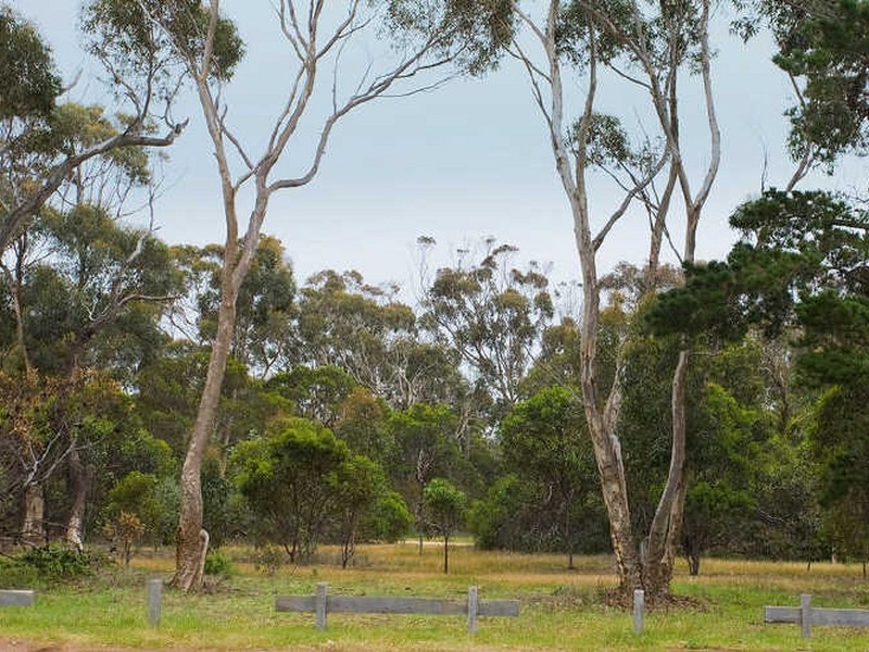 3 Zeally Bay Road, Torquay VIC 3228
