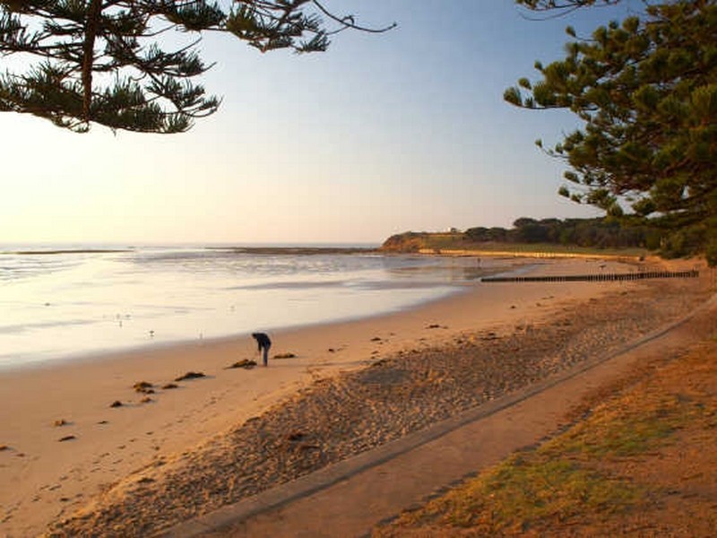 1356/ Inshore Drive, Torquay VIC 3228