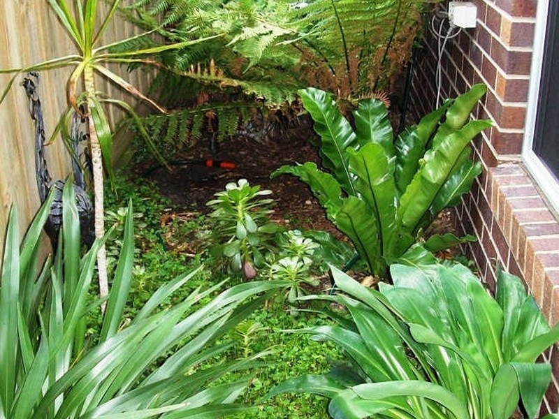 13 Elm Grove Court, Torquay VIC 3228