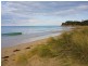 303/100 The Esplanade, Torquay VIC 3228