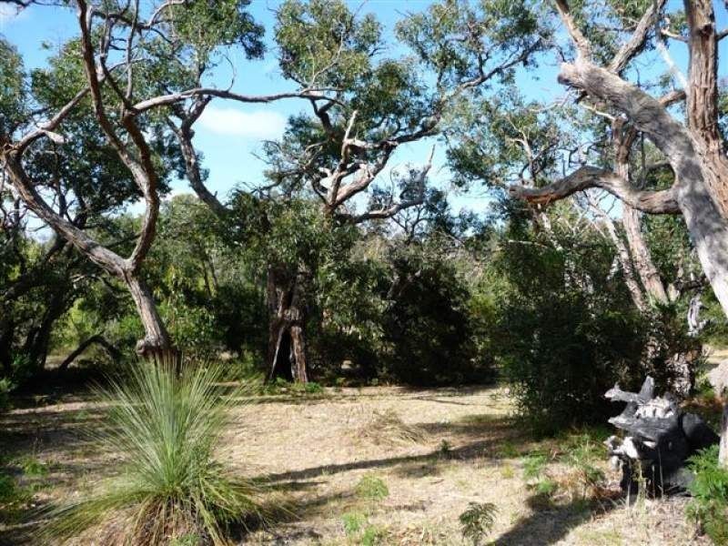 97 Coombes Road, Torquay VIC 3228
