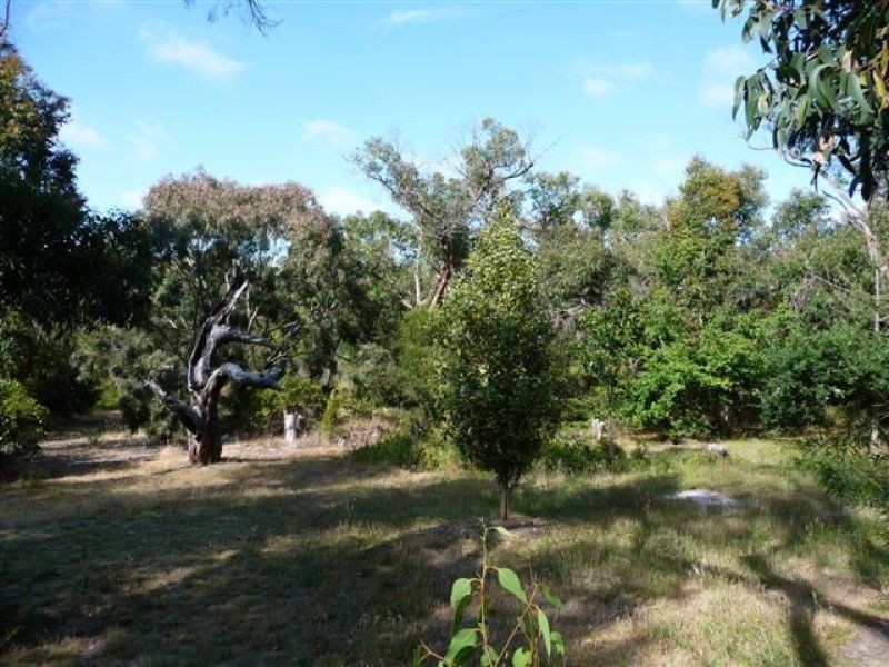 97 Coombes Road, Torquay VIC 3228