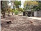 1395 Cape Otway Road, Modewarre VIC 3240