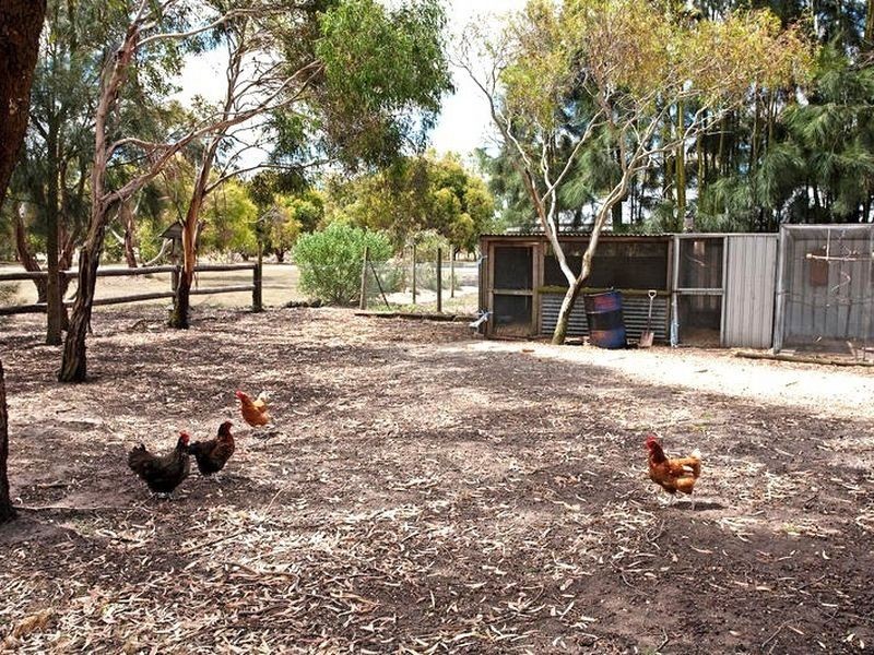 1395 Cape Otway Road, Modewarre VIC 3240