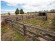 1395 Cape Otway Road, Modewarre VIC 3240