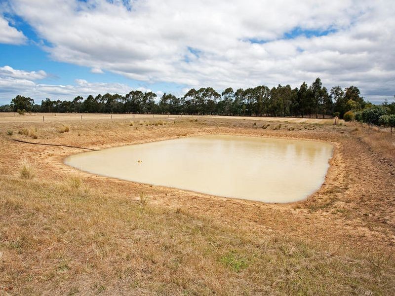 1395 Cape Otway Road, Modewarre VIC 3240