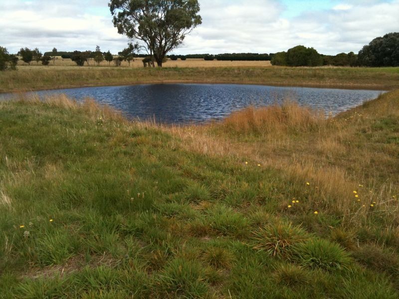 1395 Cape Otway Road, Modewarre VIC 3240