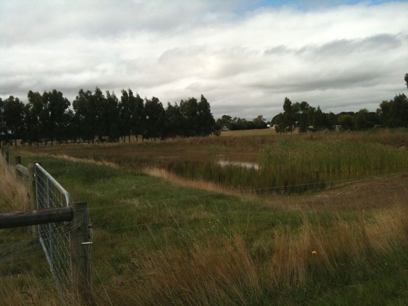 1395 Cape Otway Road, Modewarre VIC 3240