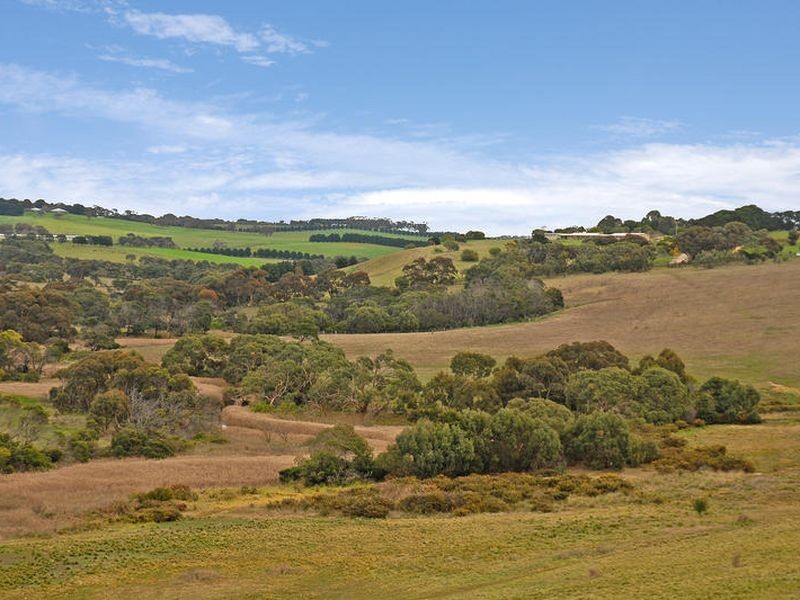 64 Alleyne Avenue, Torquay VIC 3228