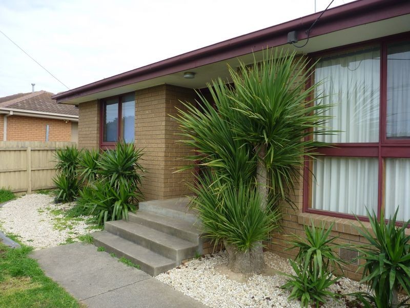 3 Eldridge Place, Belmont VIC 3216