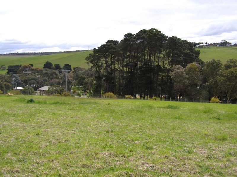 8 Wood Road, Bellbrae VIC 3228