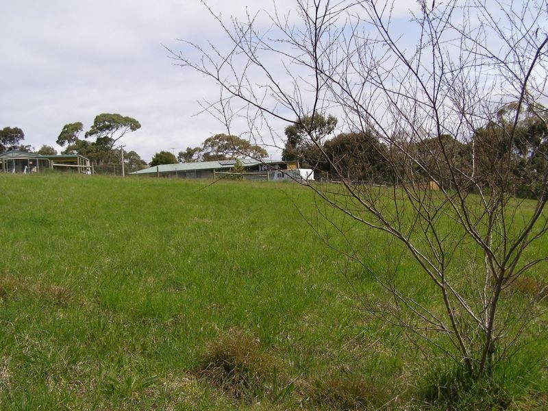 8 Wood Road, Bellbrae VIC 3228