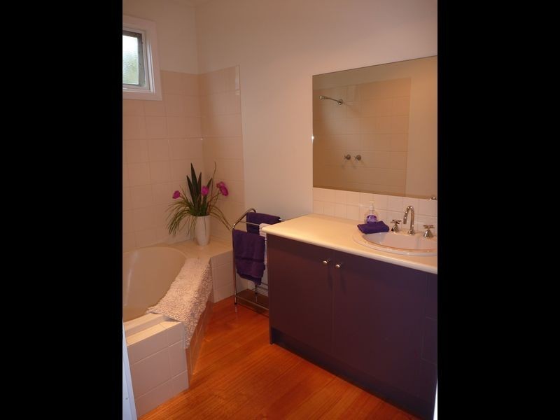 146 Fischer Street, Torquay VIC 3228