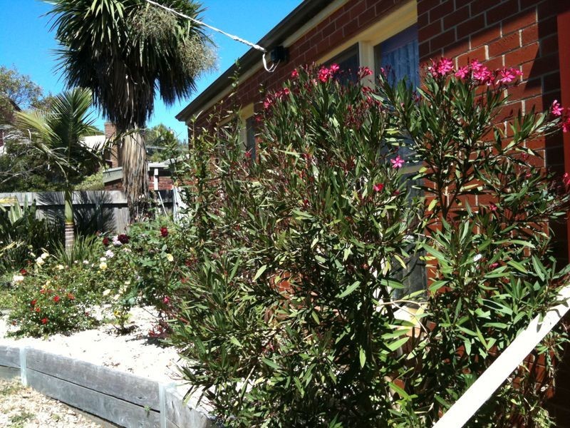 5 Chevron Court, Jan Juc VIC 3228