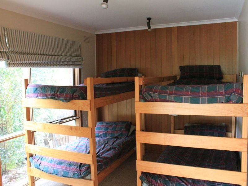 92 Fischer Street, Torquay VIC 3228