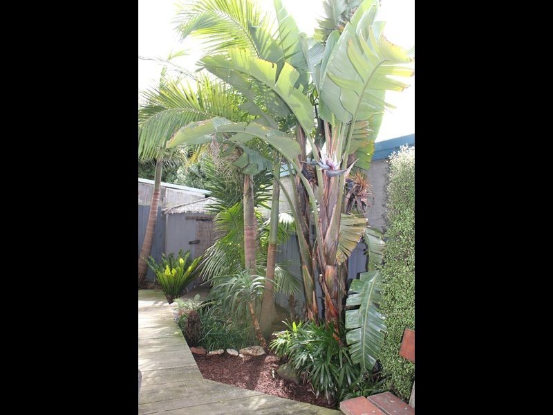 86A Geelong Road, Torquay VIC 3228