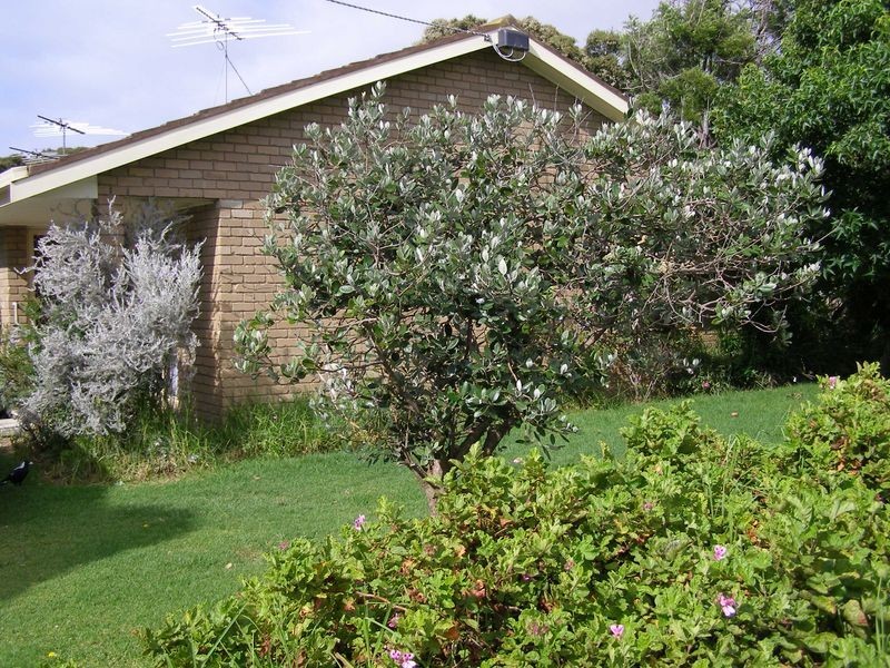 1/33 Bristol Road, Torquay VIC 3228