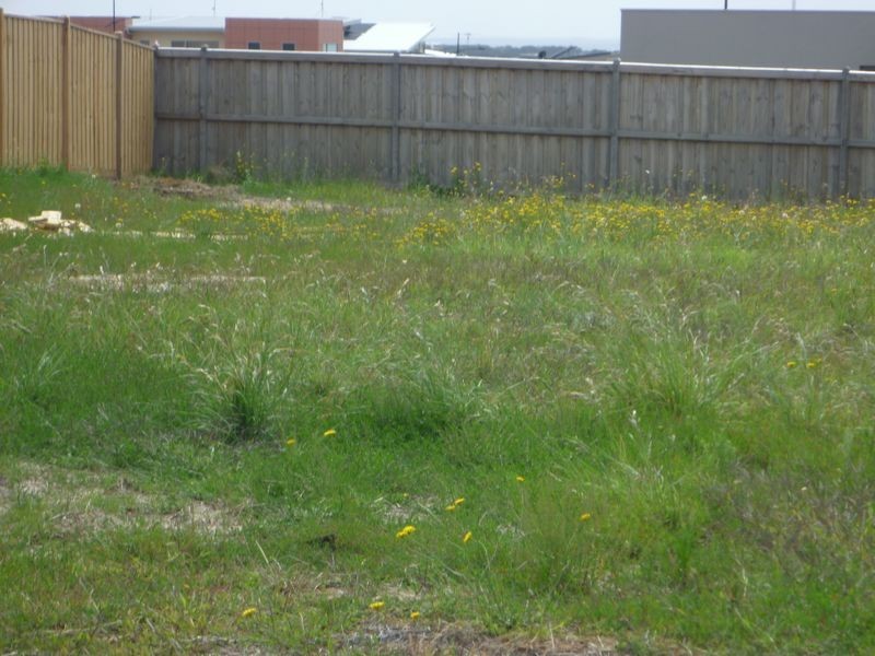 12 Rincon Crescent, Torquay VIC 3228