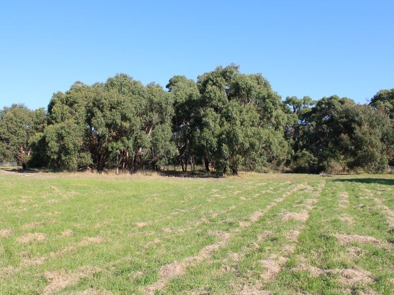 6 Echidna Wynd, Torquay VIC 3228