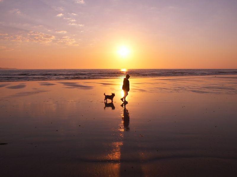 Lot 716 Centreside Drive, Torquay VIC 3228