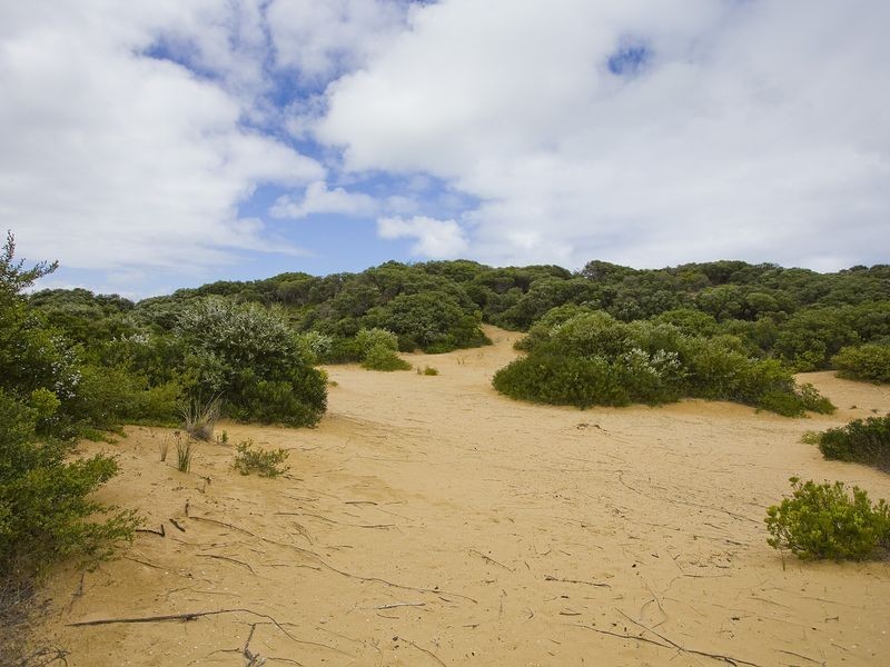 7 Horwood Drive, Breamlea VIC 3227