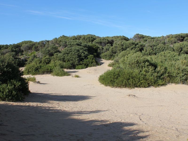 7 Horwood Drive, Breamlea VIC 3227