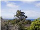 12 Follett Street, Torquay VIC 3228
