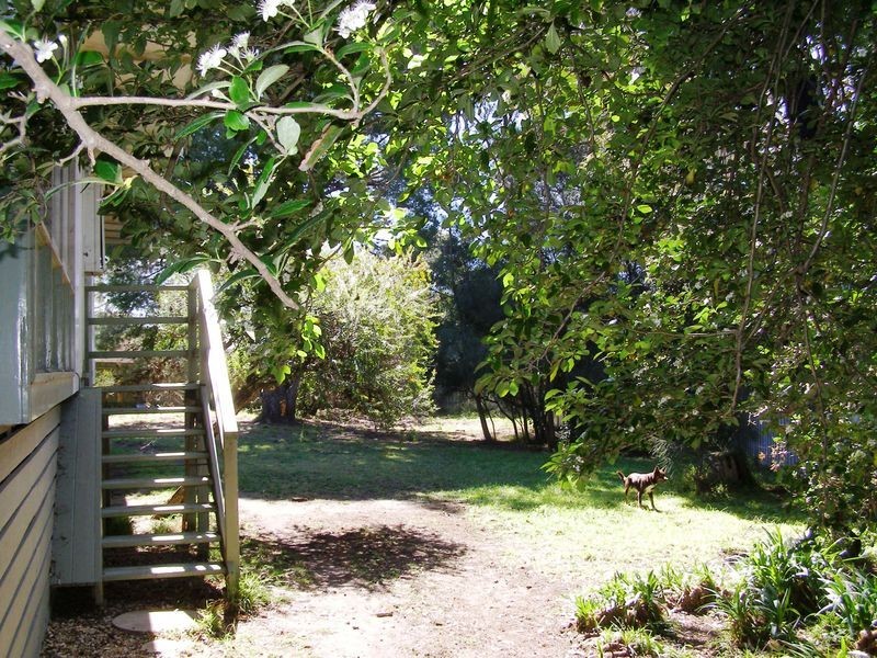 8 Gogoll Crescent, Torquay VIC 3228