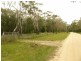 55 Noels Lane, Gherang VIC 3240